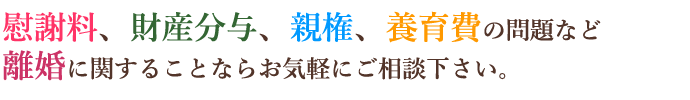慰謝料、財産分与、親権、養育費の問題など